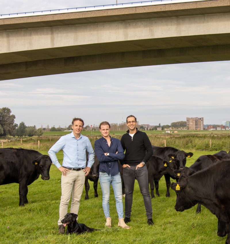 Lokaal vlees ‘Arnhem Angus’ op de kaart